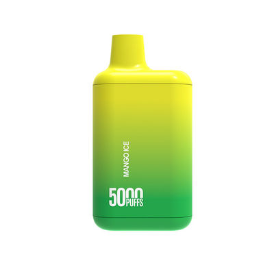 Wiederaufladbarer Einweg-Vape-Stift Neues beliebtes Vape-Ecig mit Mesh-Spulen